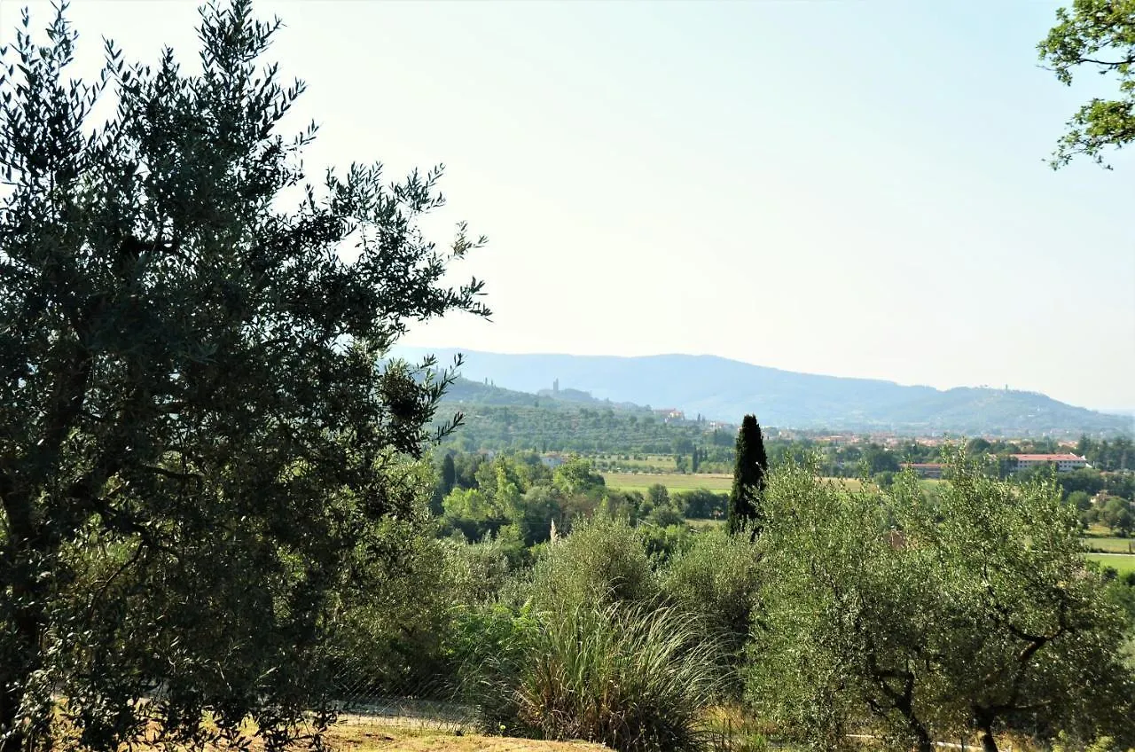 Casa Cesira Apartment Arezzo Italy